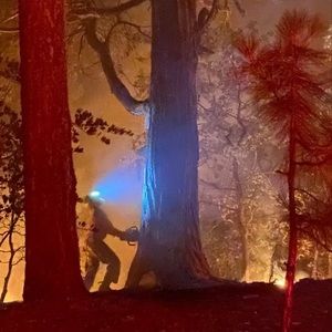 Meet your Posher, Jeffrey